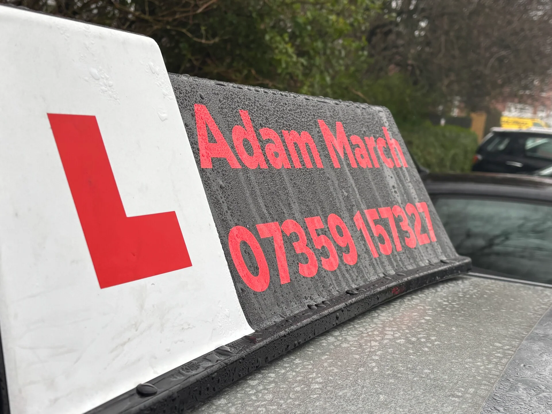 Adam
